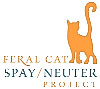 feral cats usa