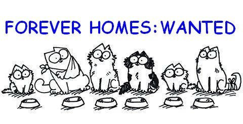 Forever Homes Wanted